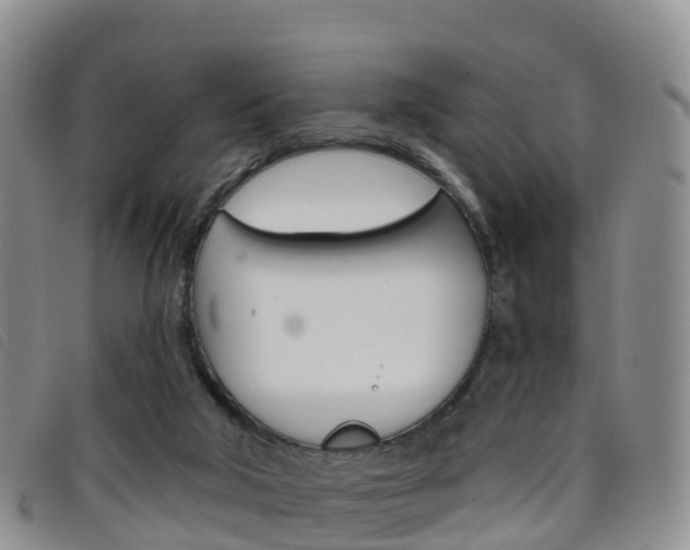 X0000096720018200802051110