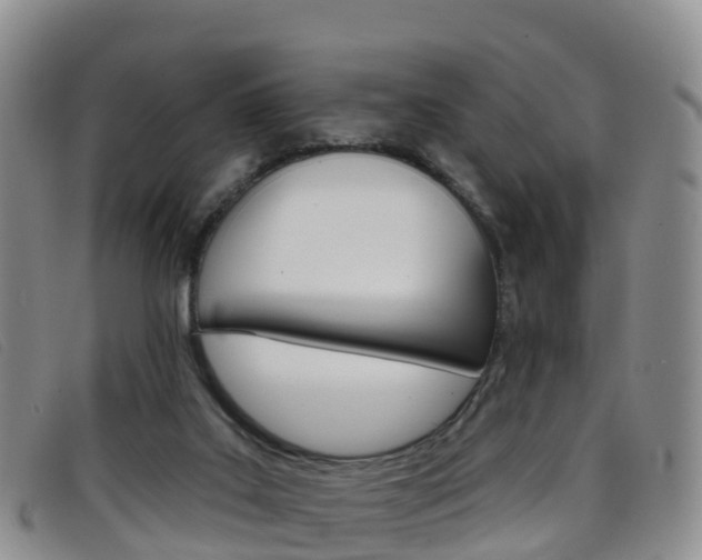 X0000096720019200802051110