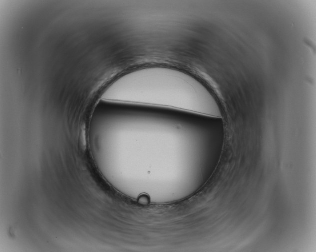 X0000096720020200802051110