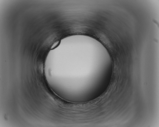 X0000096720021200802051110