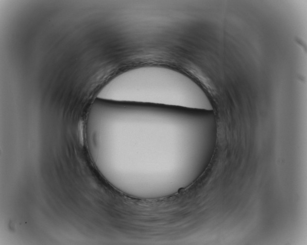 X0000096720022200802051110