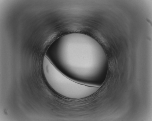 X0000096720023200802051110