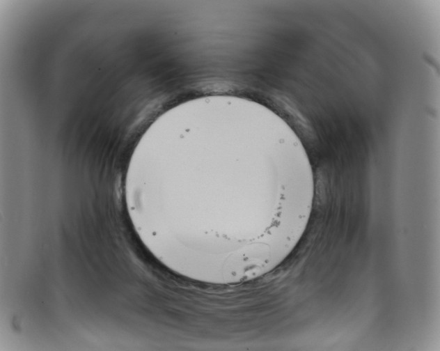 X0000096720024200802051110