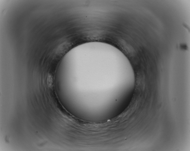 X0000096720025200802051110