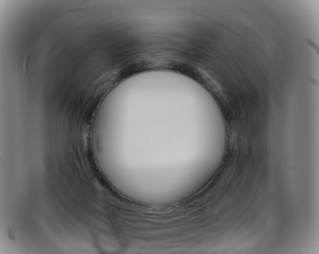 X0000096720026200802051110
