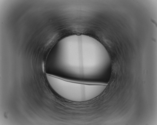 X0000096720027200802051110