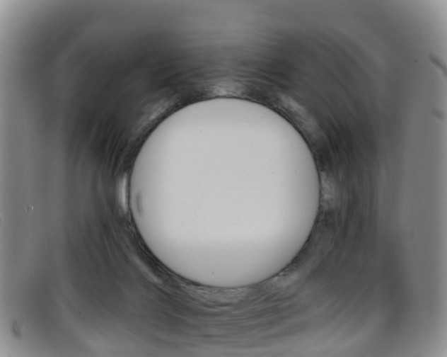 X0000096720028200802051110