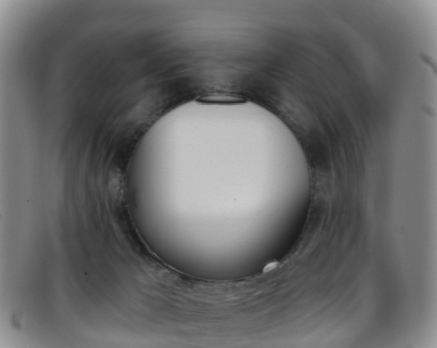 X0000096720029200802051110