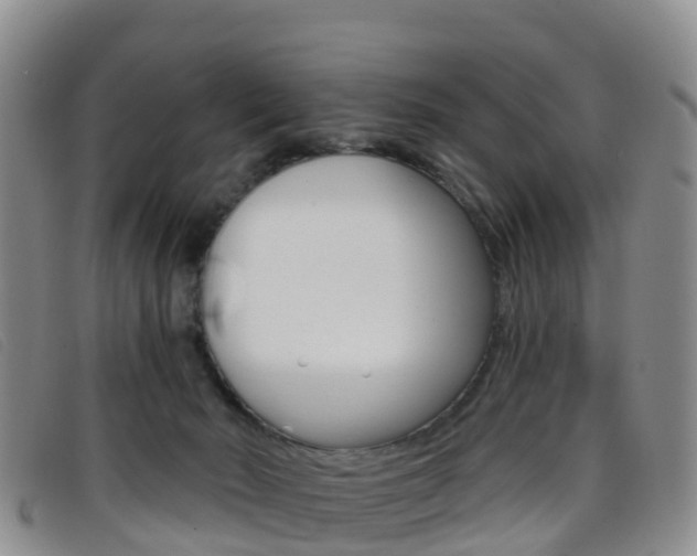 X0000096720030200802051110