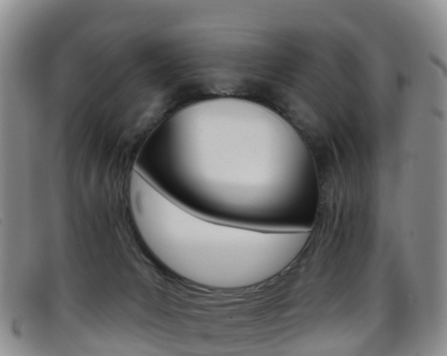 X0000096720031200802051110