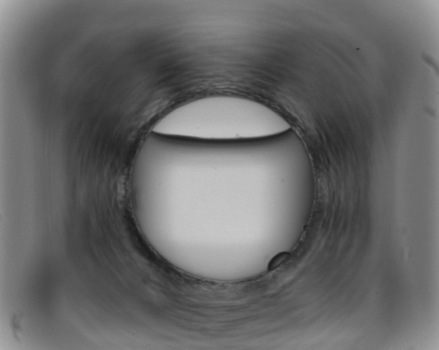 X0000096720032200802051110