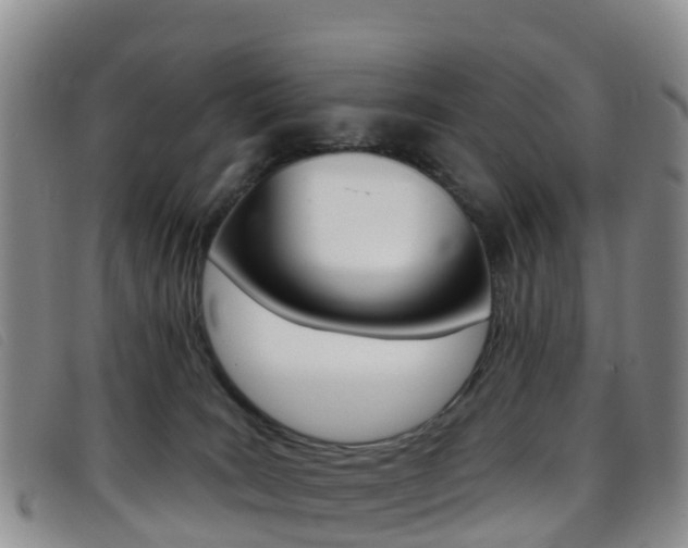 X0000096720035200802051110