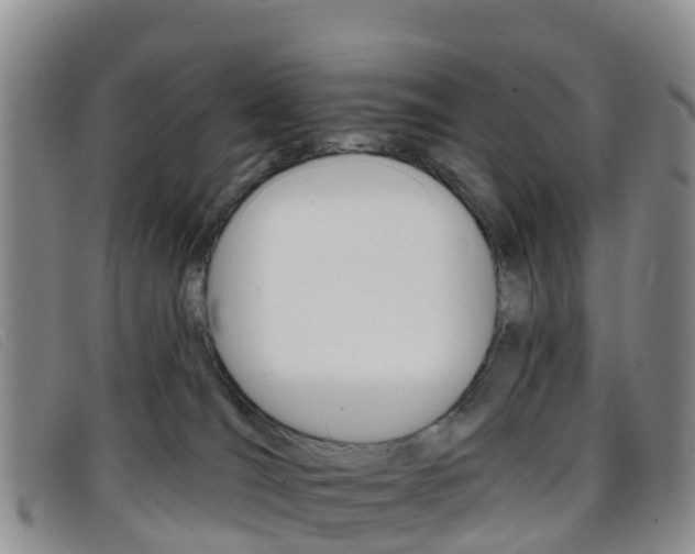 X0000096720036200802051110