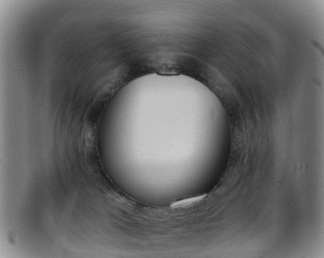 X0000096720037200802051110
