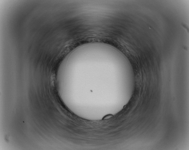 X0000096720038200802051110