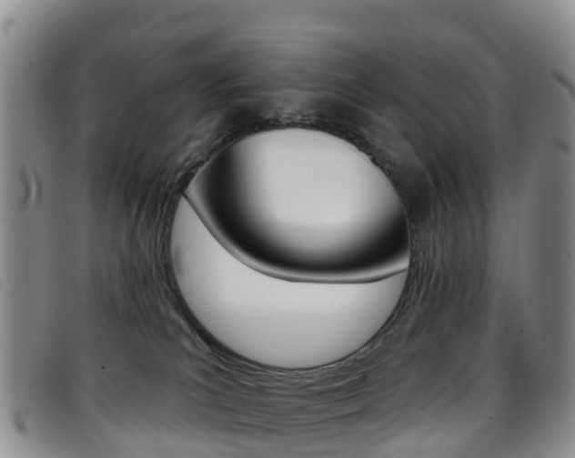 X0000096720039200802051109
