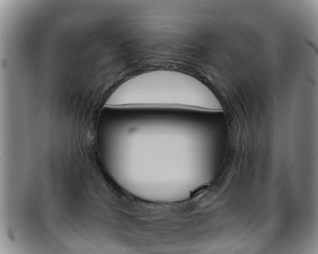 X0000096720040200802051109