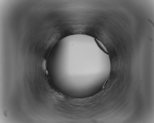X0000096720041200802051109