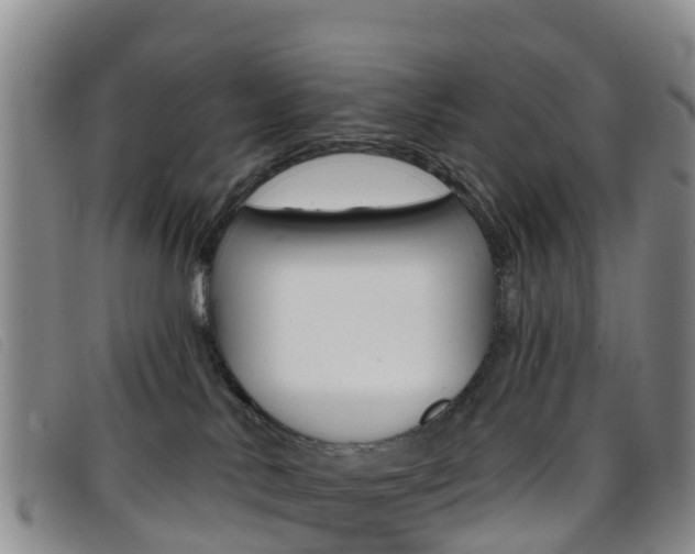 X0000096720042200802051109