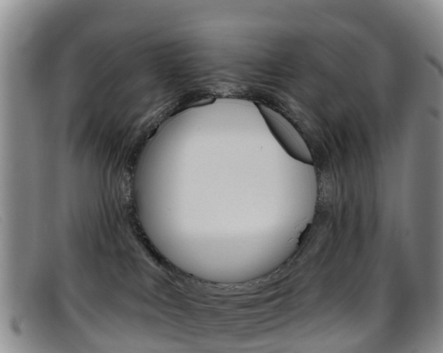 X0000096720043200802051109