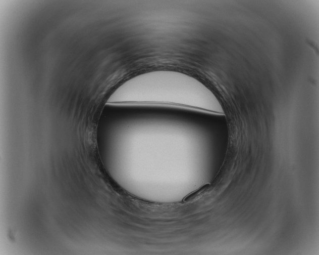 X0000096720044200802051109
