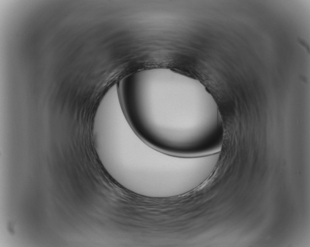 X0000096720045200802051109