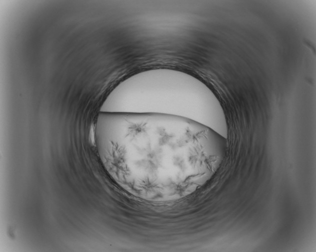 X0000096720046200802051109