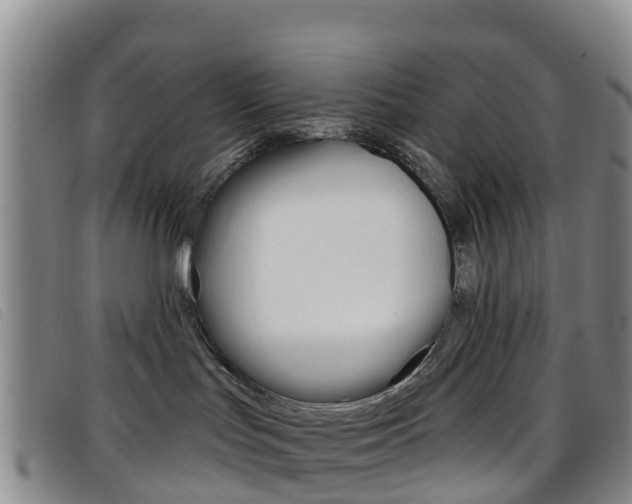 X0000096720047200802051109