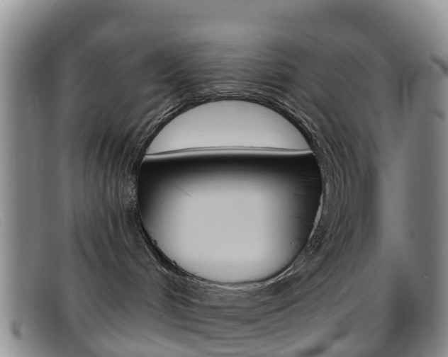 X0000096720048200802051109