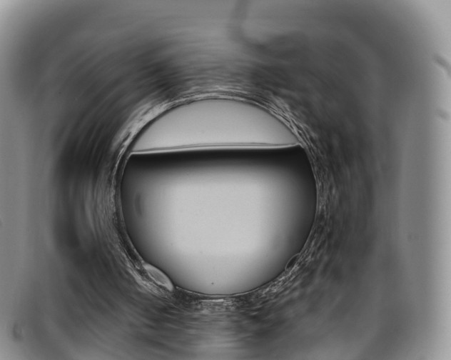 X0000096720050200802051109