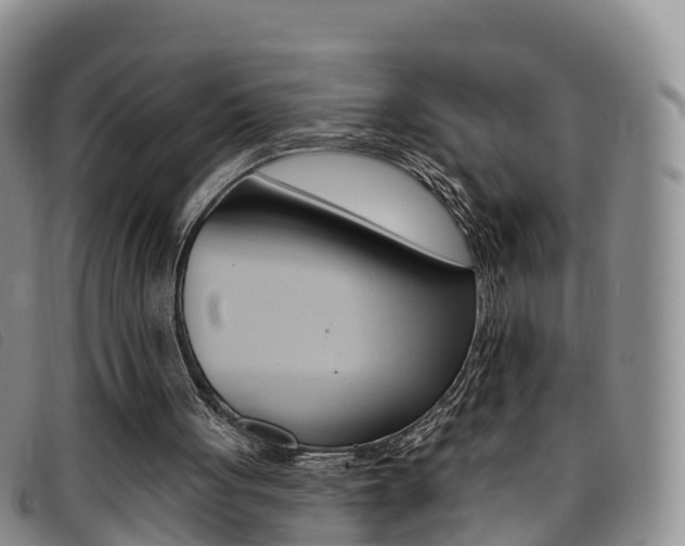 X0000096720051200802051109