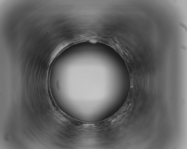 X0000096720052200802051109