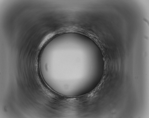 X0000096720054200802051109
