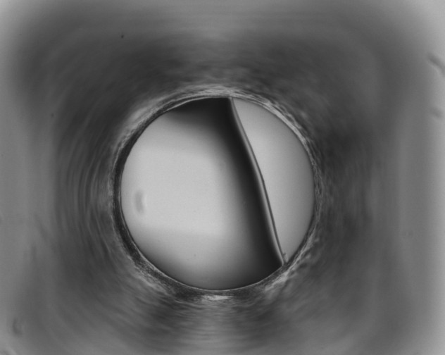 X0000096720055200802051109