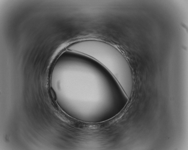 X0000096720056200802051109