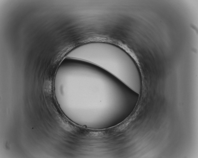 X0000096720057200802051109