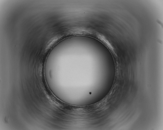 X0000096720058200802051109