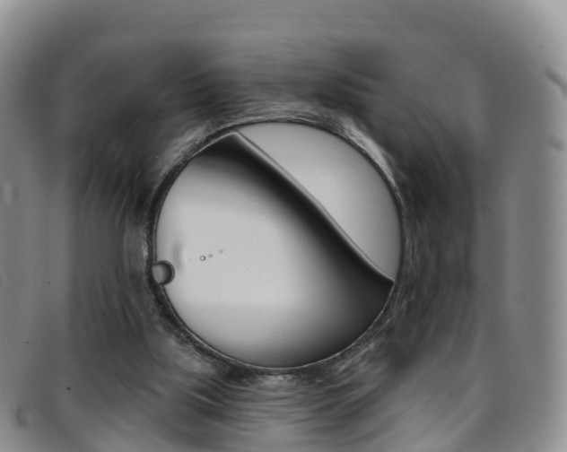 X0000096720059200802051109