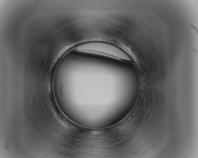 X0000096720060200802051109