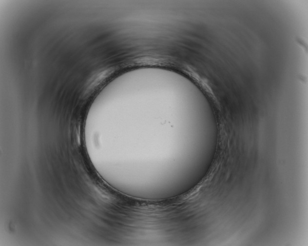 X0000096720062200802051109