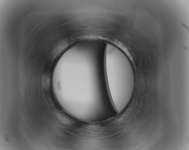 X0000096720063200802051109
