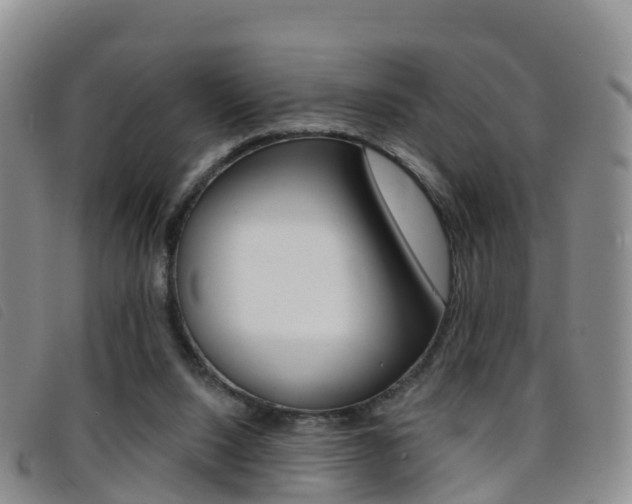 X0000096720064200802051109