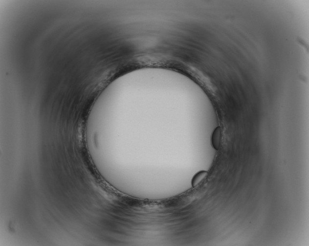 X0000096720065200802051109