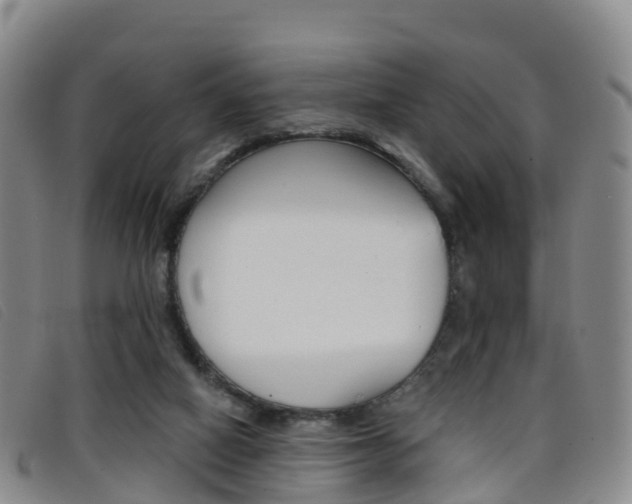X0000096720066200802051109