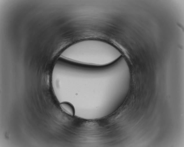 X0000096720067200802051109