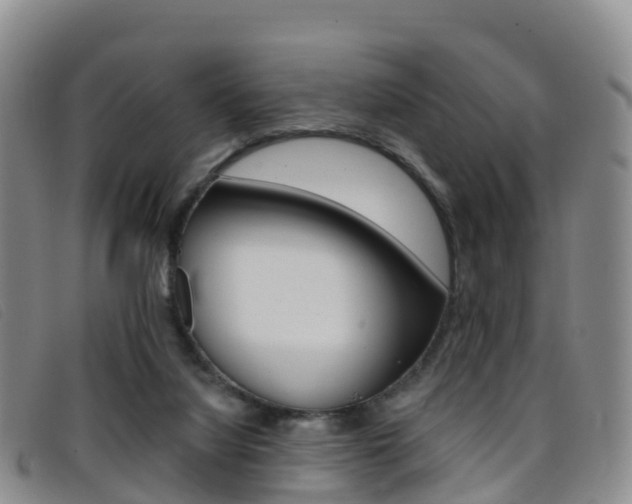 X0000096720068200802051109