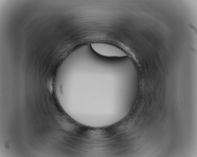 X0000096720069200802051109