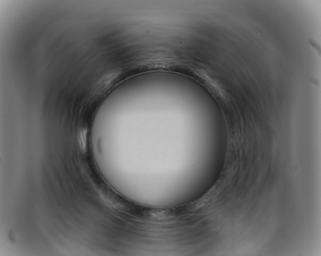 X0000096720070200802051109