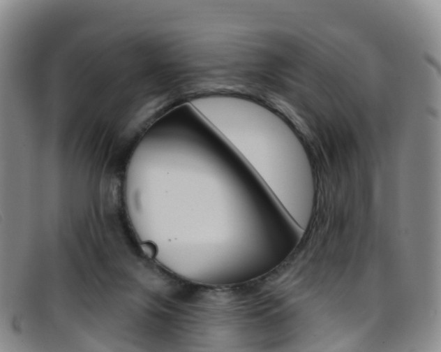 X0000096720071200802051109