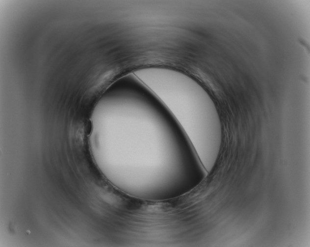 X0000096720072200802051109